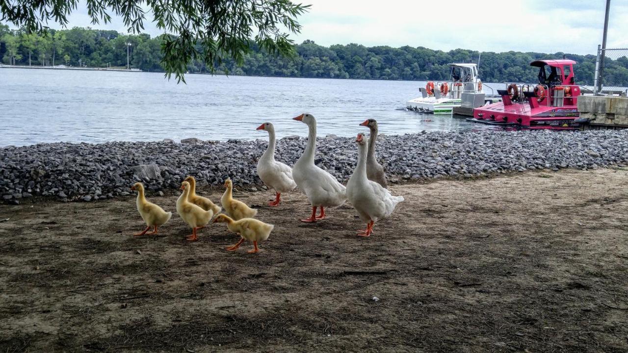 The White House Boutique B&B Niagara-on-the-Lake Екстер'єр фото